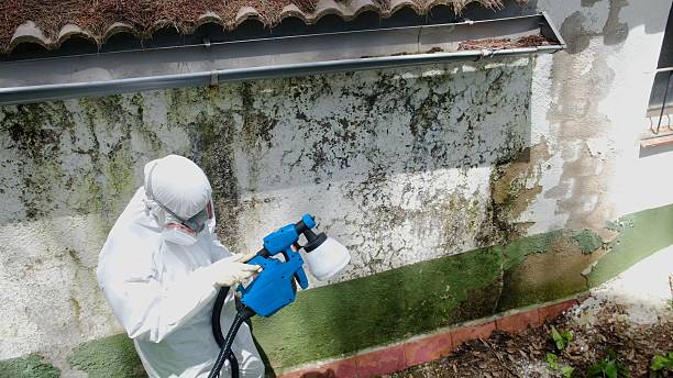 Top rated local Crawl Space Mold Remediation specialists in Jonestown, TX